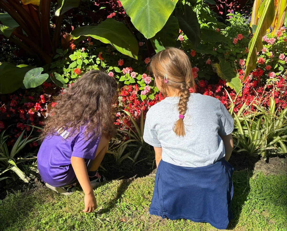 Two students crouch on the grass to look closely at a lush garden filled with vibrant red flowers and large leaves.