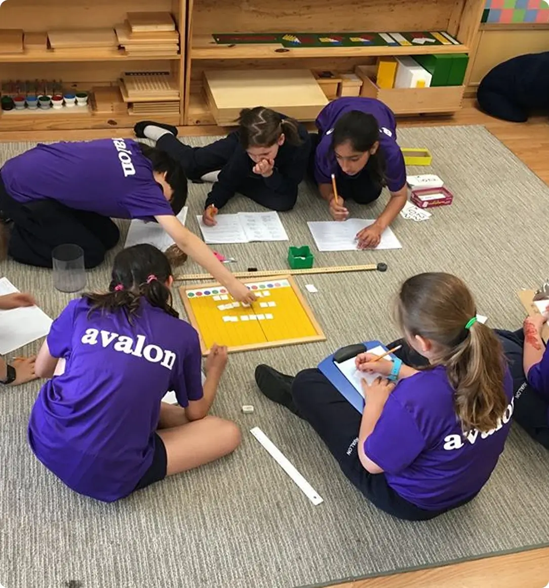 Students in purple "avalon" shirts sit in a circle on a rug, collaborating on a lesson with worksheets and a board.